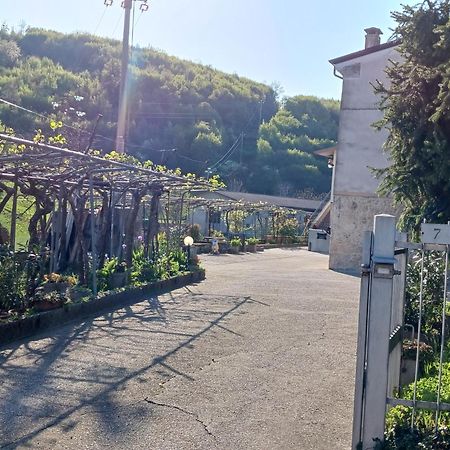 La Torretta - Incantevole Appartamento Nei Colli Berici Nanto 외부 사진
