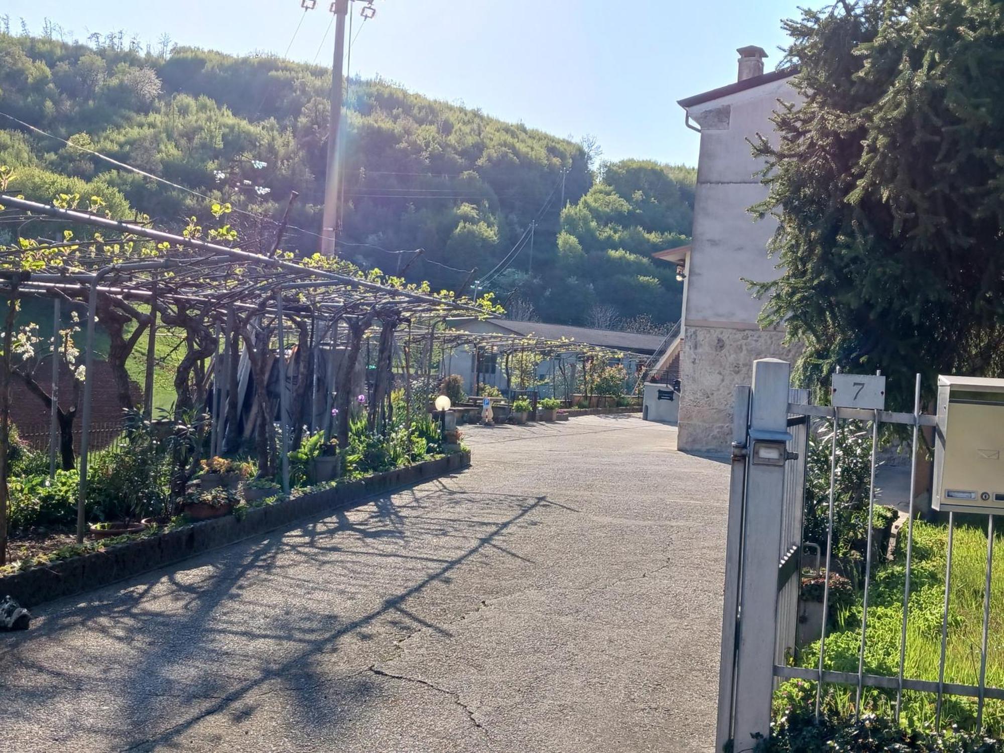 La Torretta - Incantevole Appartamento Nei Colli Berici Nanto 외부 사진