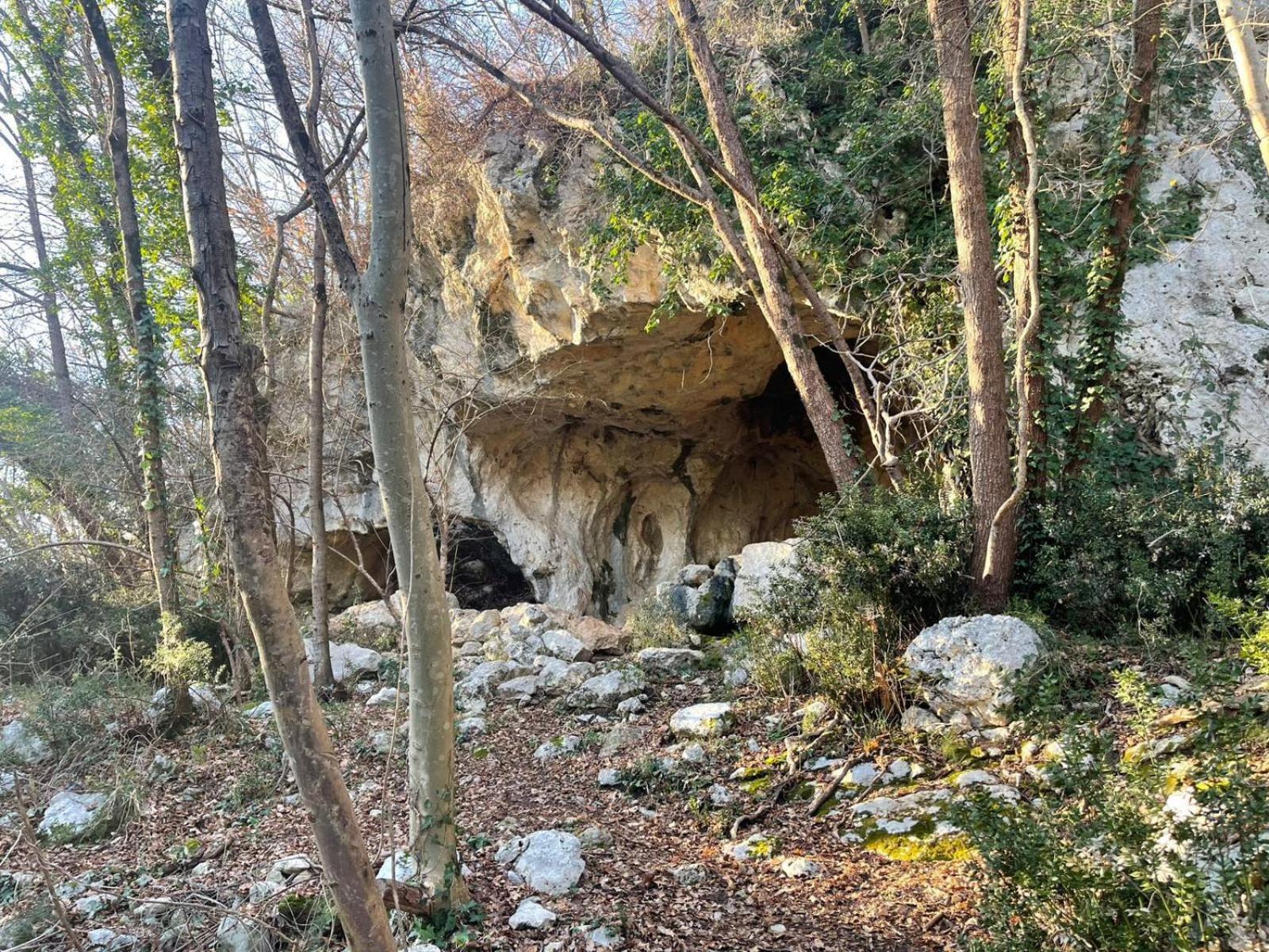 La Torretta - Incantevole Appartamento Nei Colli Berici Nanto 외부 사진